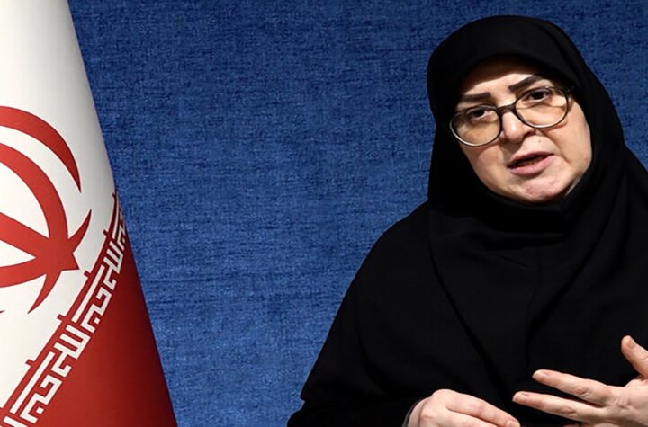 مهاجرانی: براساس منافع ملی درباره مذاکرات تصمیم می‌گیریم