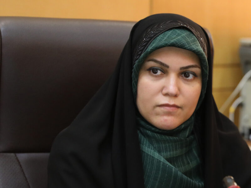 رویکرد مجلس؛ تعادل میان حقوق زنان و استحکام خانواده