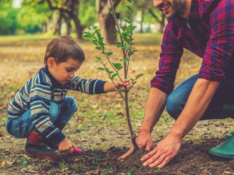 نجات محیط‌زیست مستلزم «آموزش، یادگیری و فرهنگ‌سازی» است