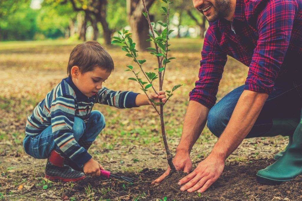 نجات محیط‌زیست مستلزم «آموزش، یادگیری و فرهنگ‌سازی» است