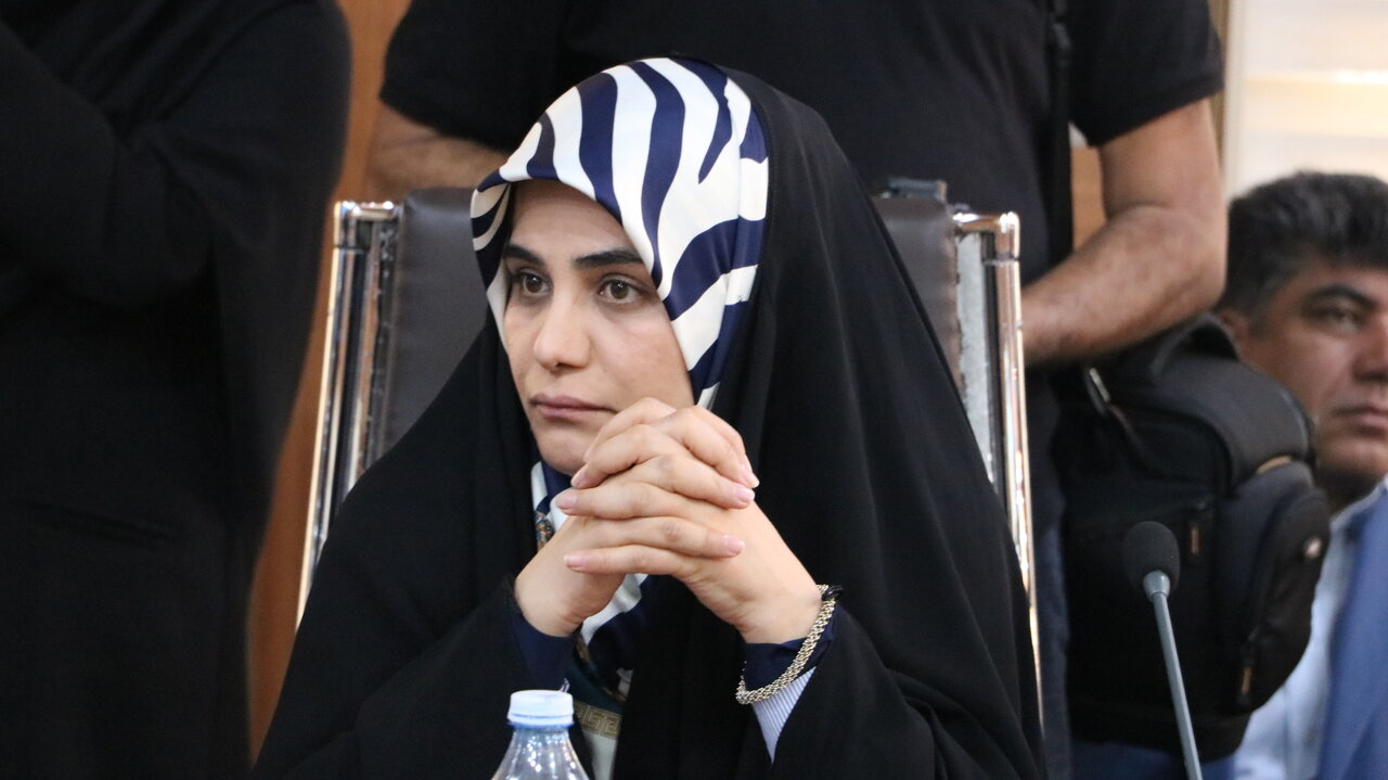 جراره: دیپلماسی علمی ابزاری برای بازدارندگی نرم است
