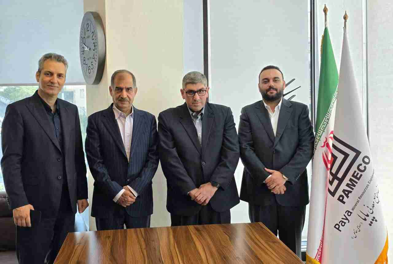 کریتی ثانی سکاندار جدید شرکت پایا شد