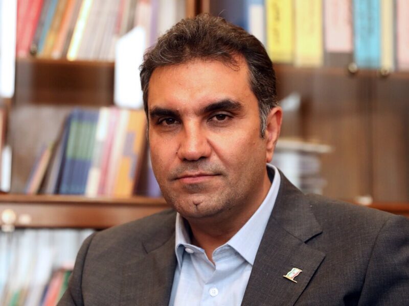 میلیاردی شدن قیمت خودرو ناشی از عدم اجرای کامل قانون مجلس است