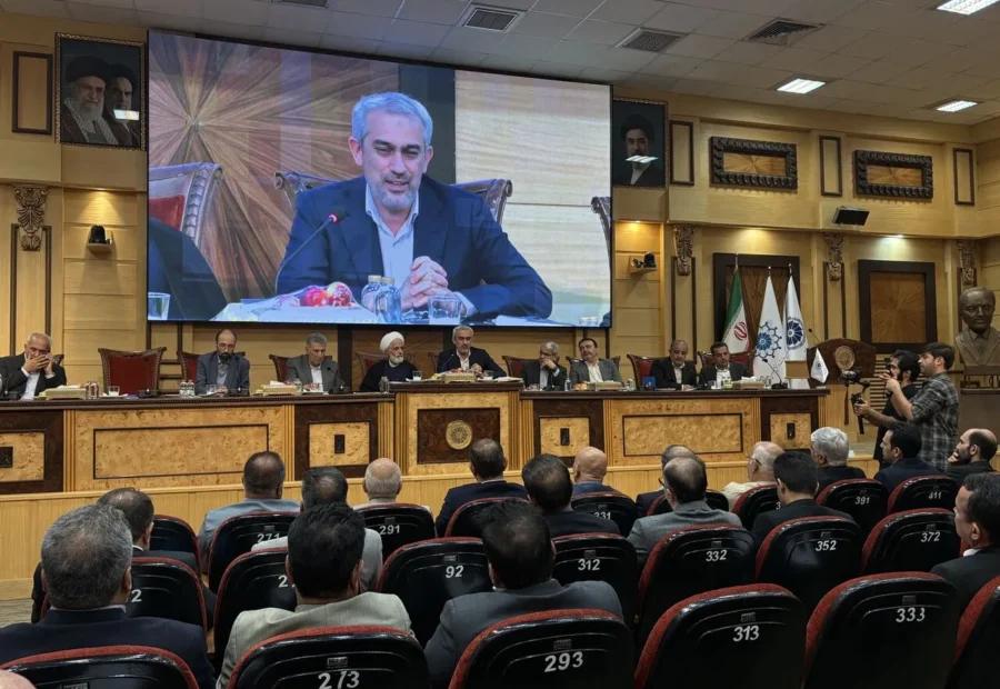 مدنی زاده: تعدد قوانین فعالان اقتصادی را سردرگم می کند